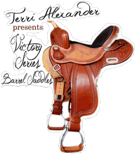 Learn More about the Victory Series Barrel Saddles!